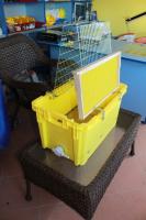 Gajba za odklapane saća - PČELARSKI PRIBOR I OPREMA - SZPR DRAGAN